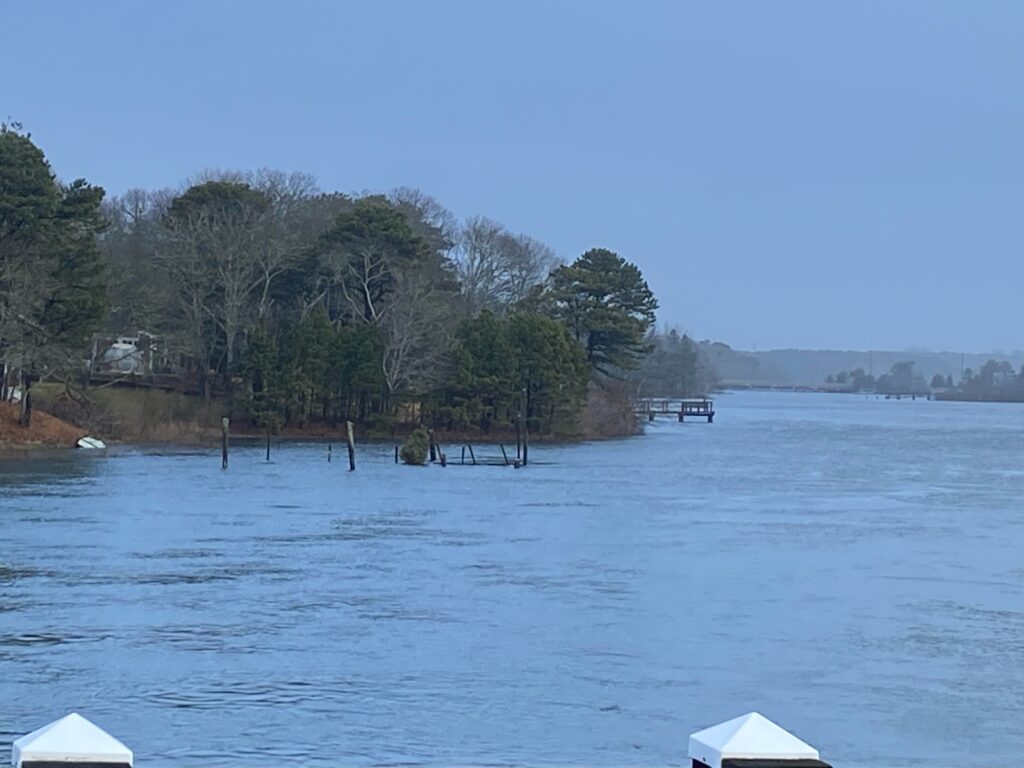 a body of water with trees and a dock (MyCoast AI)