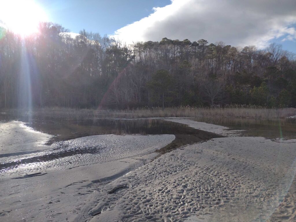 a river with a waterfall and trees (MyCoast AI)