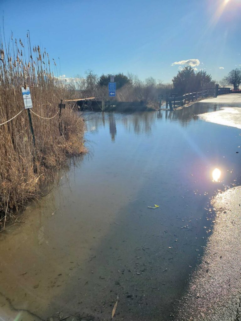 a river with a bridge and a car on it (MyCoast AI)