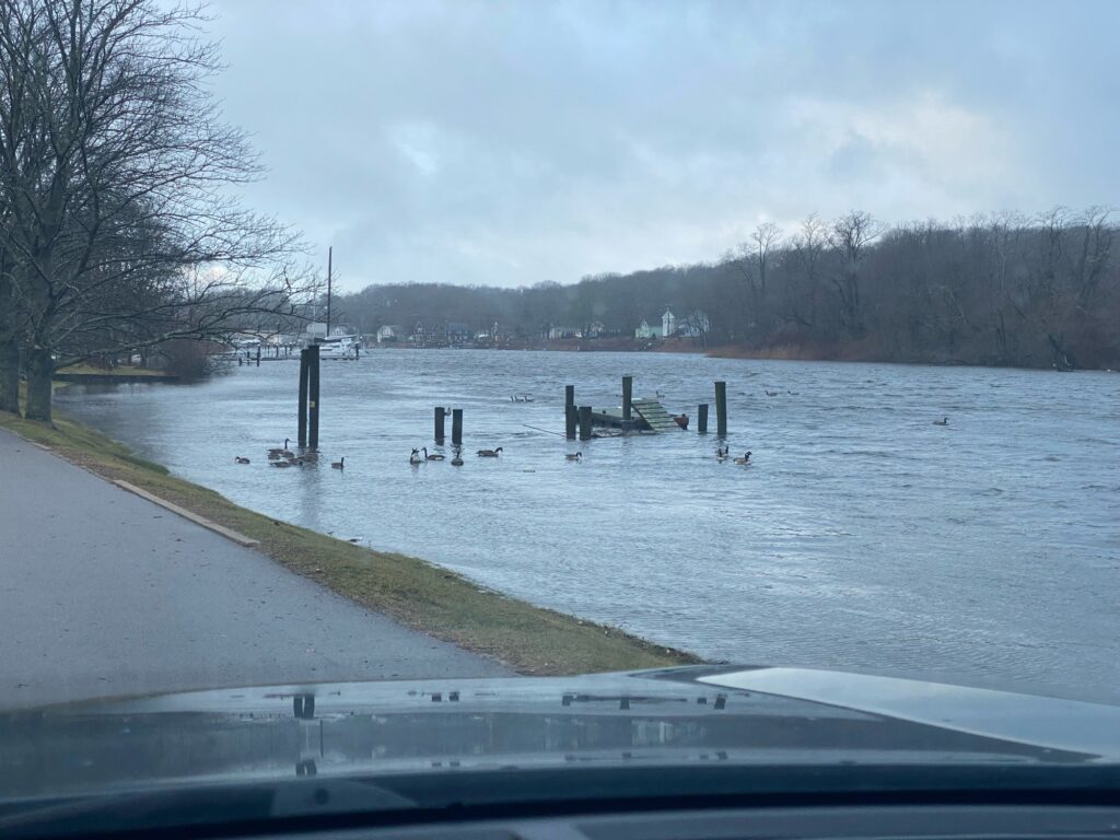 a body of water with a road and trees around it (MyCoast AI)