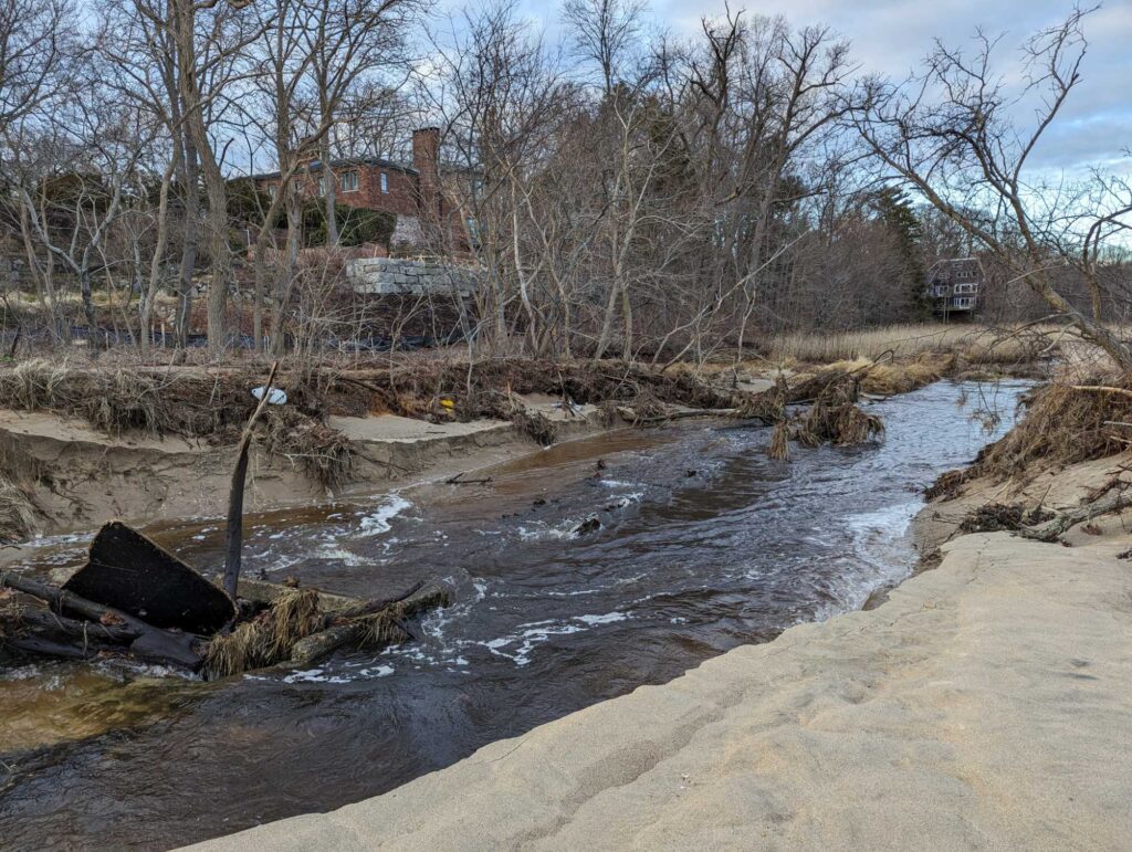 a river with a bridge and trees (MyCoast AI)
