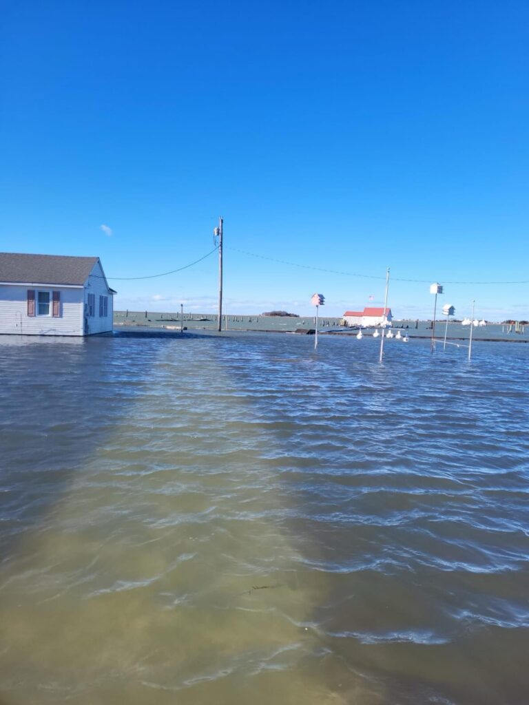 a body of water with buildings along it (MyCoast AI)