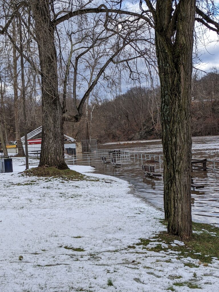 a snowy park with trees (MyCoast AI)