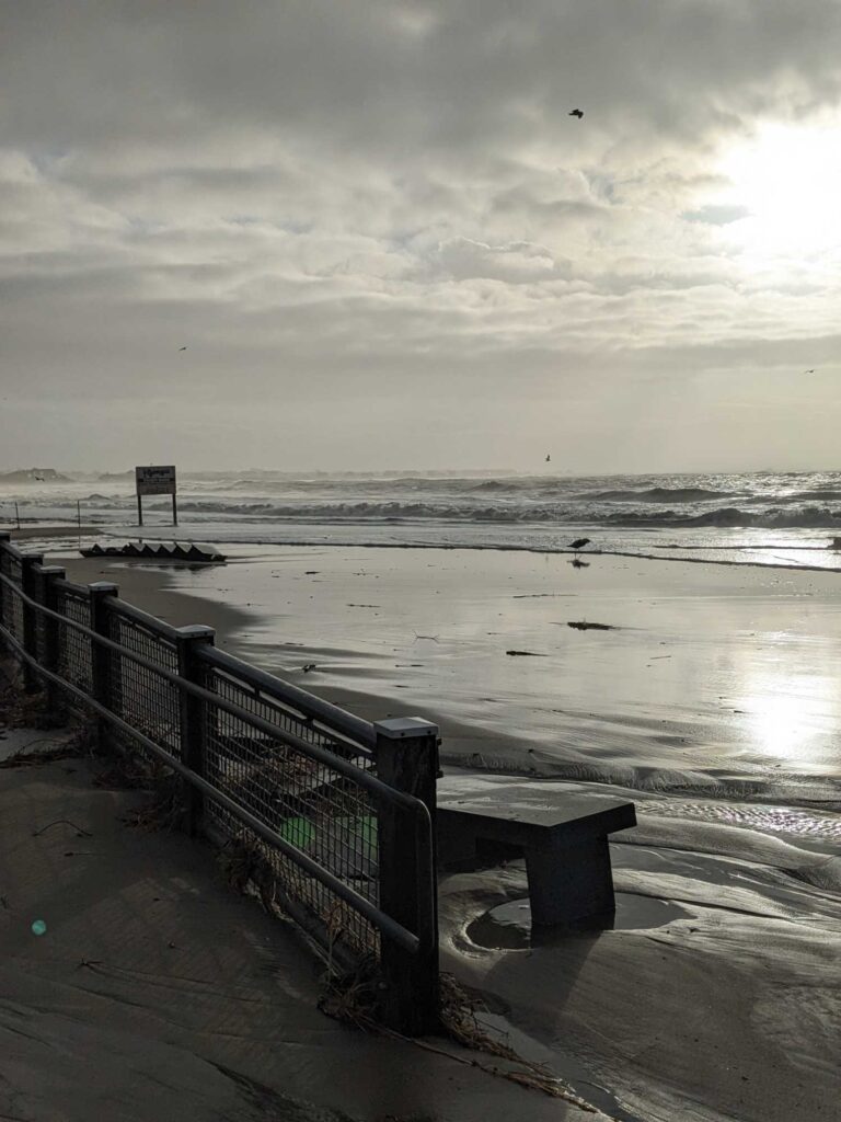 a bench on a beach (MyCoast AI)