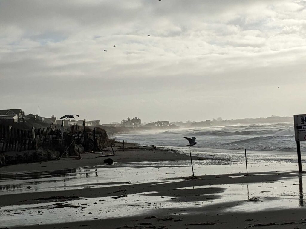 a bird flying over a beach (MyCoast AI)