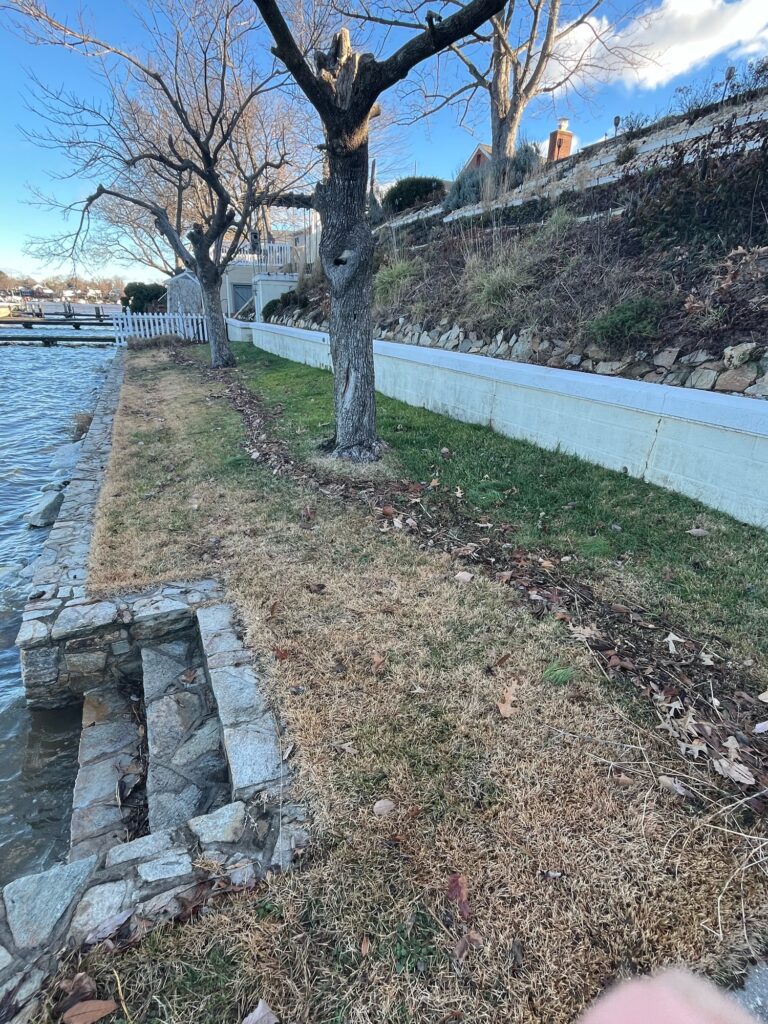 a stone wall with a tree and a body of water in the background (MyCoast AI)