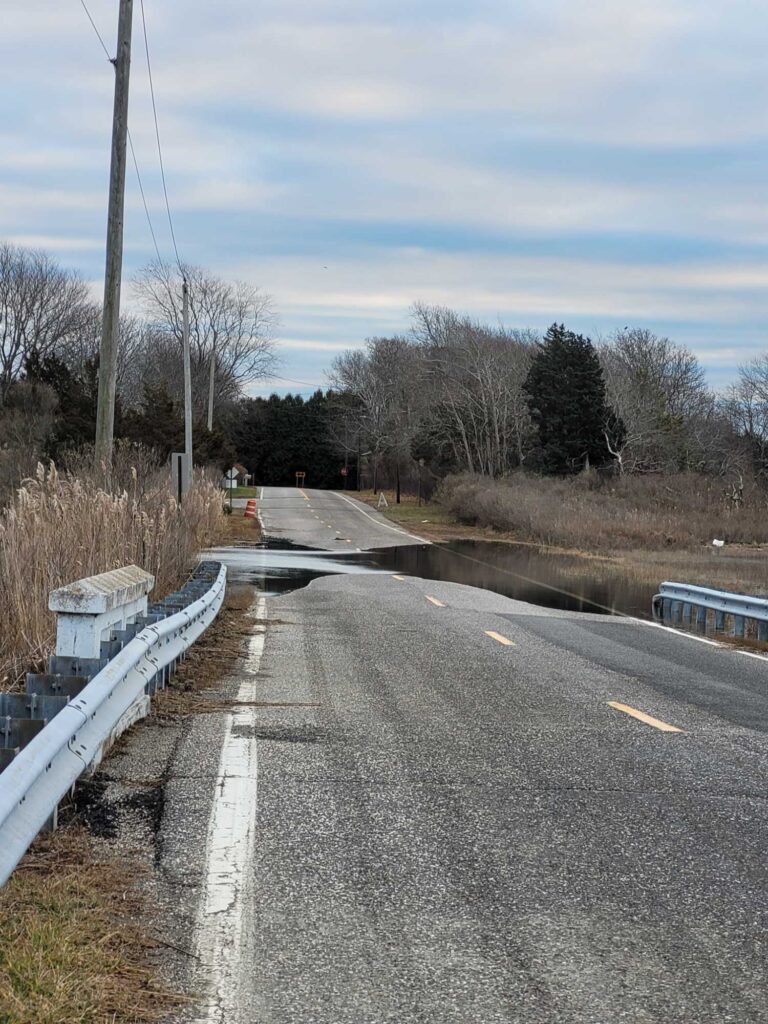 a road with a white fence and trees on the side (MyCoast AI)