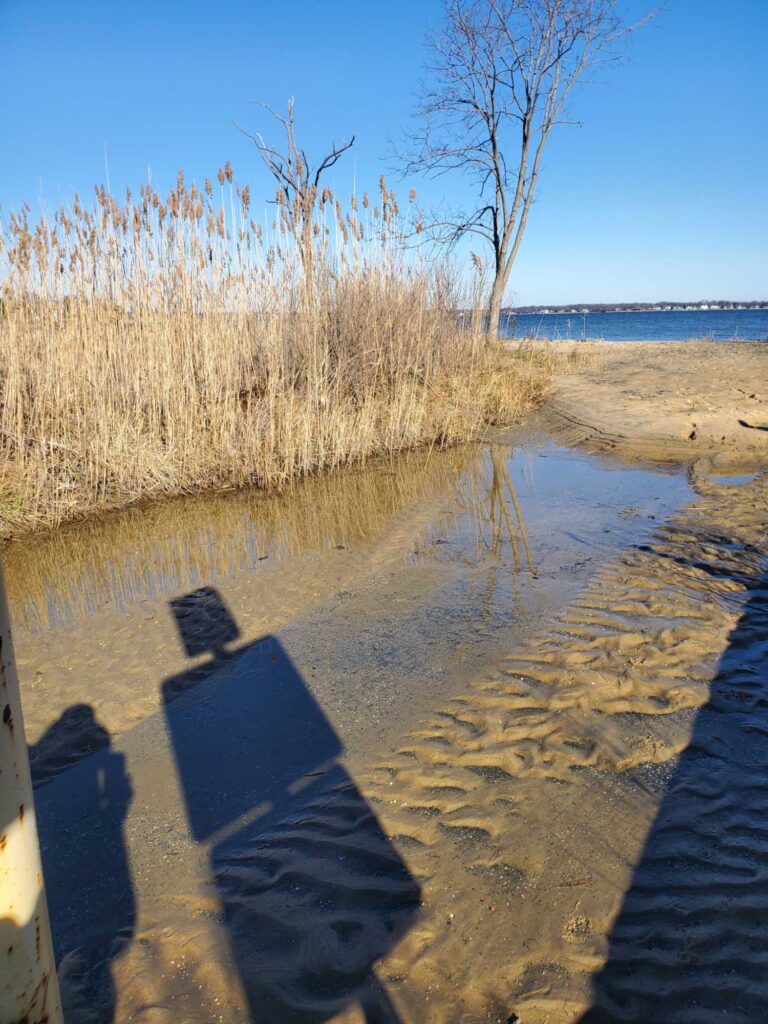 a group of people standing in a shallow body of water (MyCoast AI)