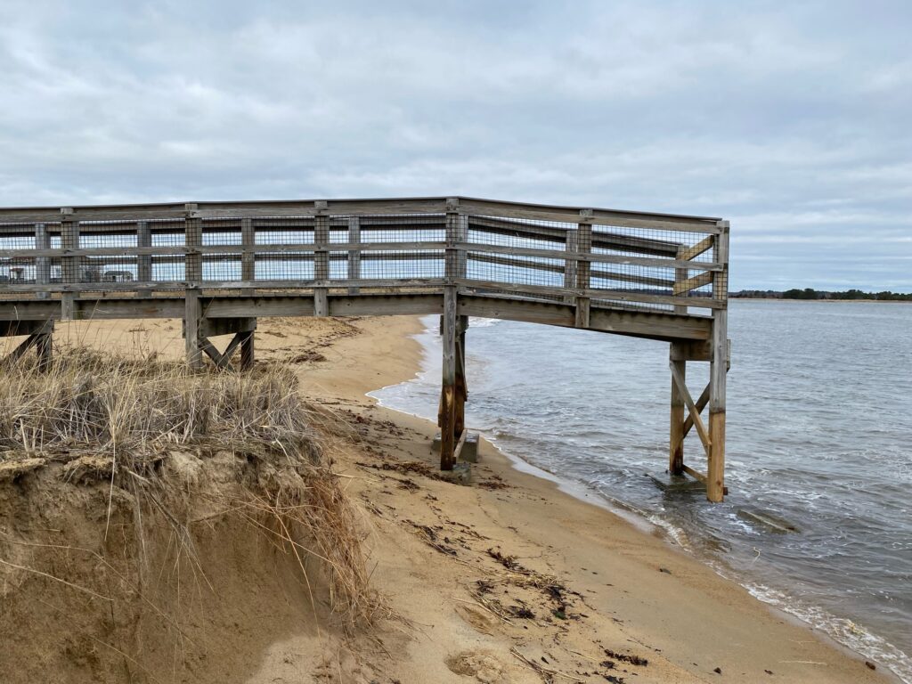 a long wooden pier over water (MyCoast AI)