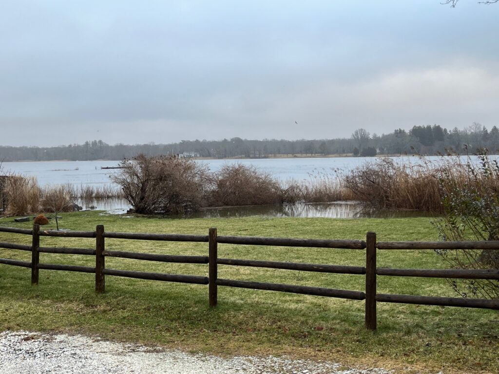 a fence in front of a lake (MyCoast AI)