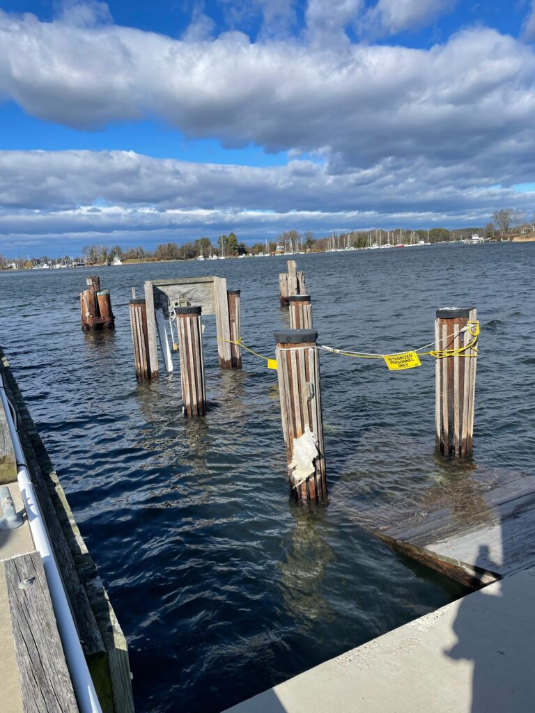 a dock with a row of wooden posts in the water (MyCoast AI)