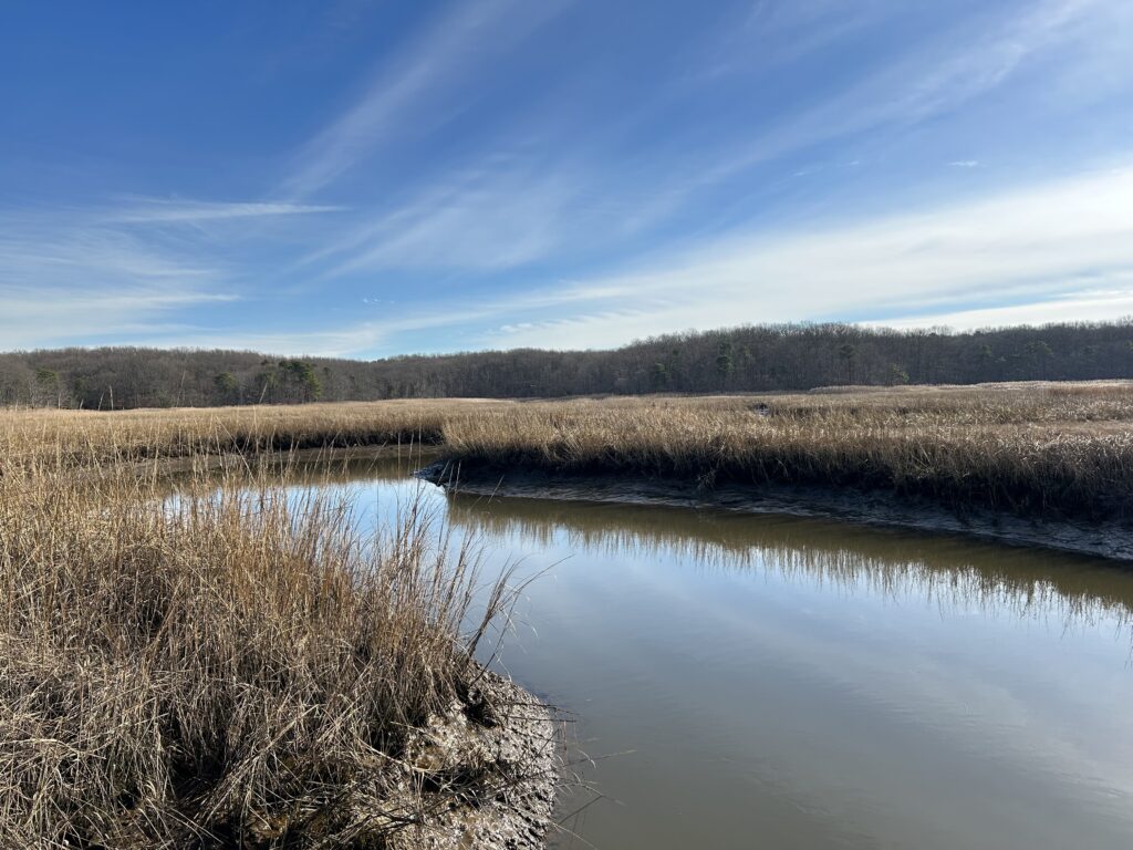 a body of water with grass and trees around it (MyCoast AI)
