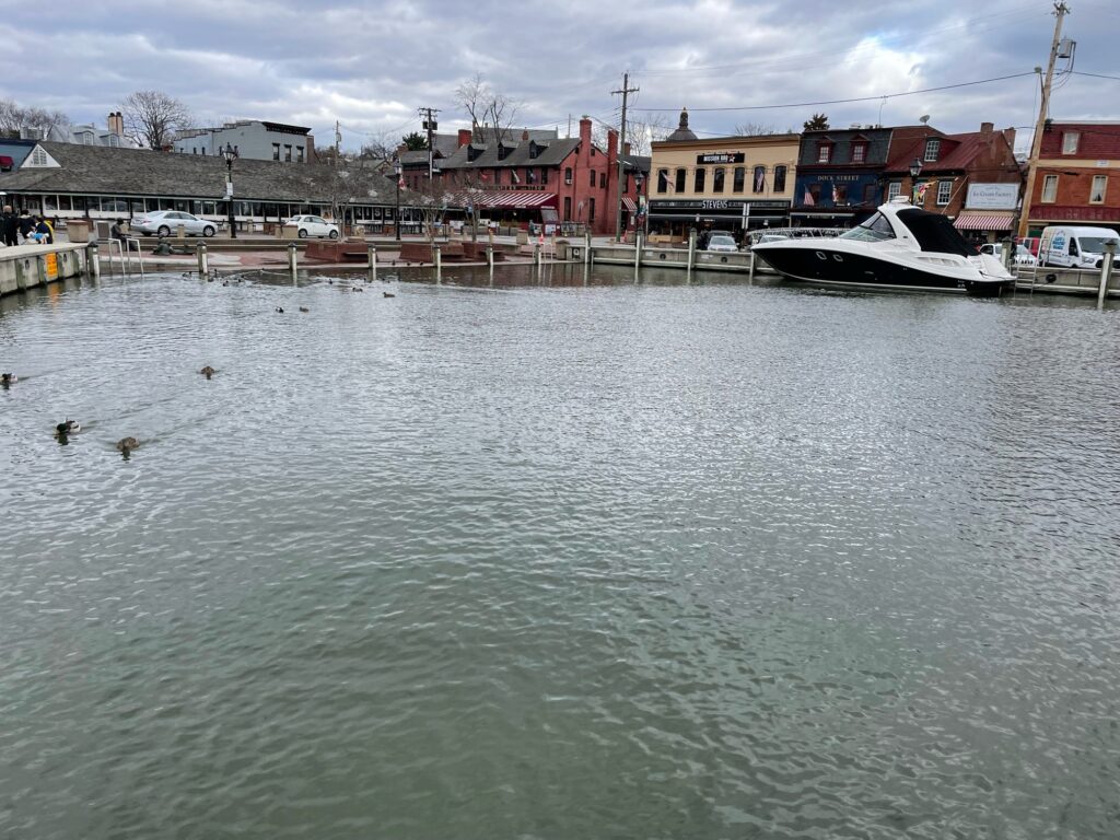 a body of water with boats and buildings along it (MyCoast AI)