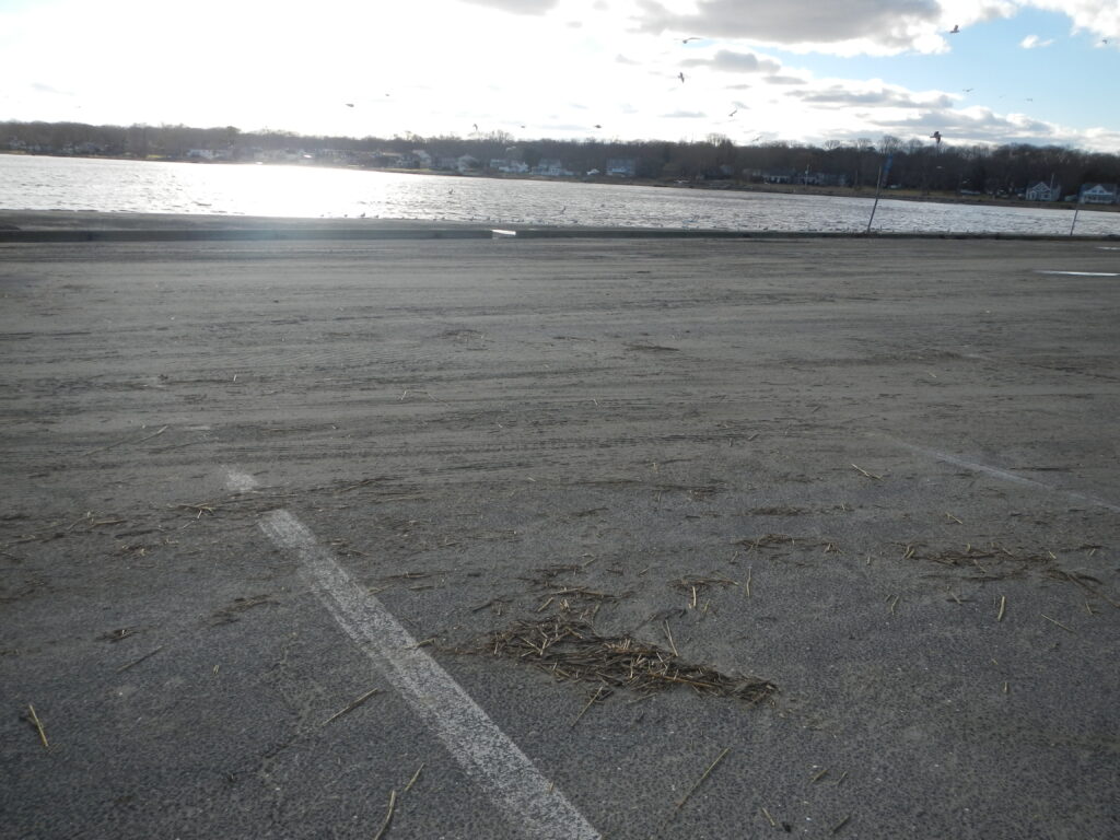 a road with a puddle on the side and a body of water in the background (MyCoast AI)