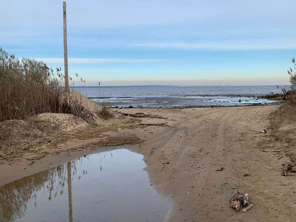 a sandy beach with a body of water in the background (MyCoast AI)