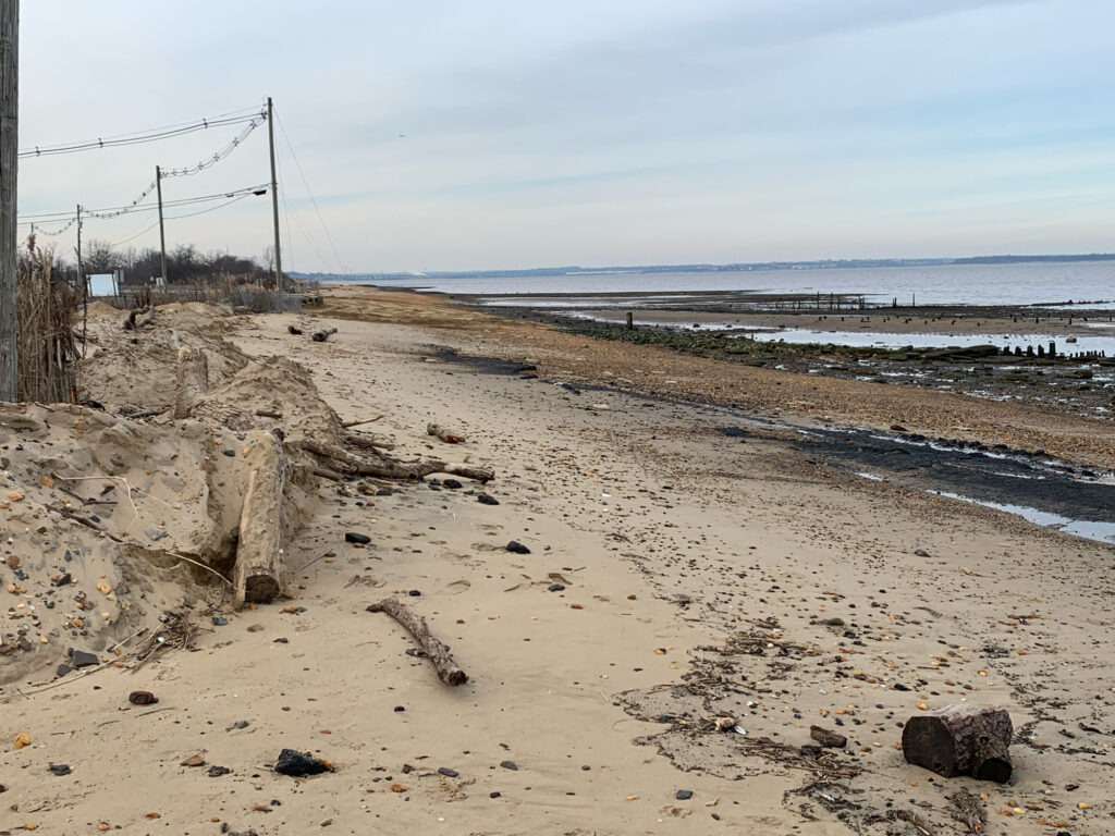 a sandy beach with water and a pile of debris (MyCoast AI)