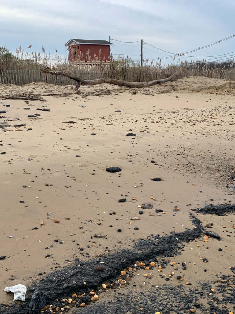 a sandy beach with a fence and a building in the background (MyCoast AI)