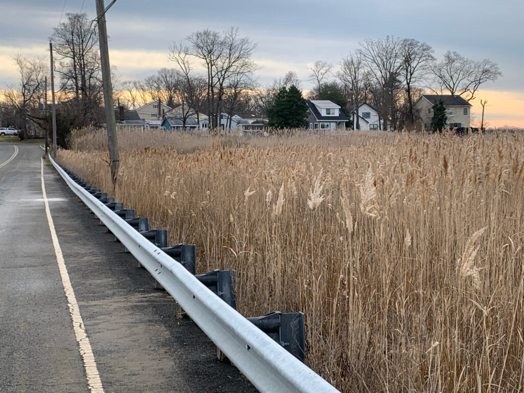 a road with a fence and grass along it (MyCoast AI)