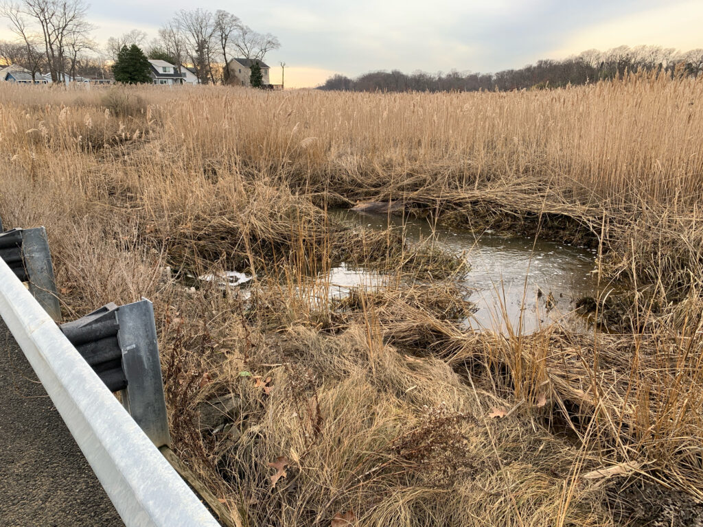 a small pond with a fence (MyCoast AI)