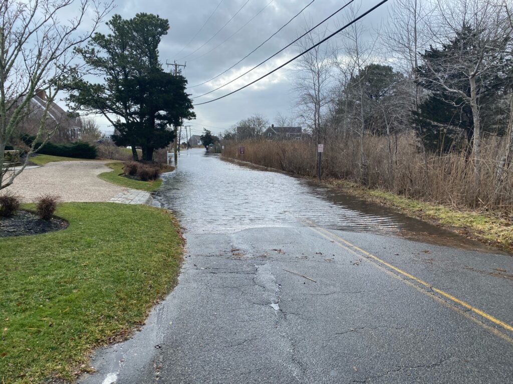 a flooded road with grass and trees (MyCoast AI)