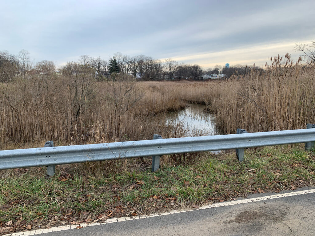a river with a bridge over it (MyCoast AI)