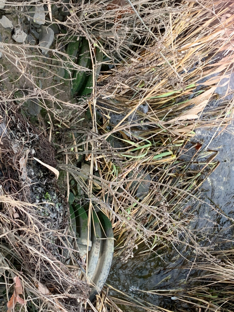 a close-up of some water (MyCoast AI)