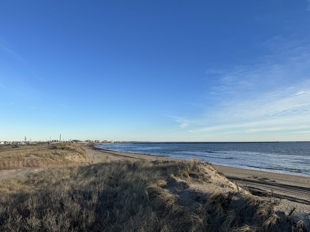 a beach with grass and sand (MyCoast AI)