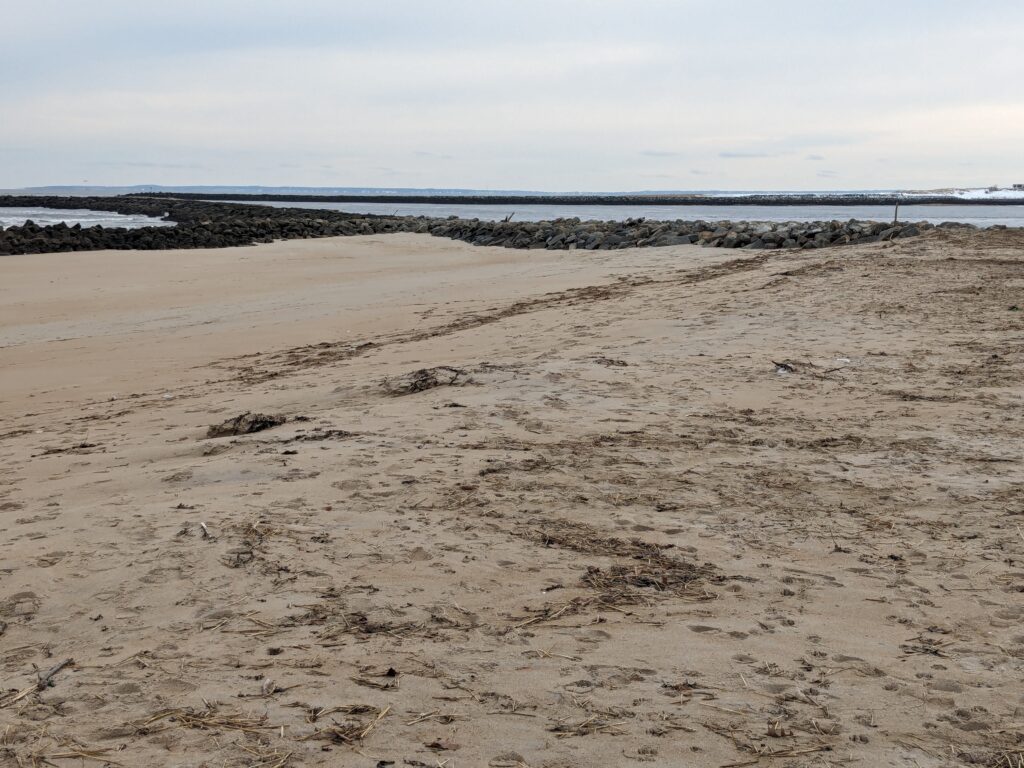 a sandy beach with water in the background (MyCoast AI)
