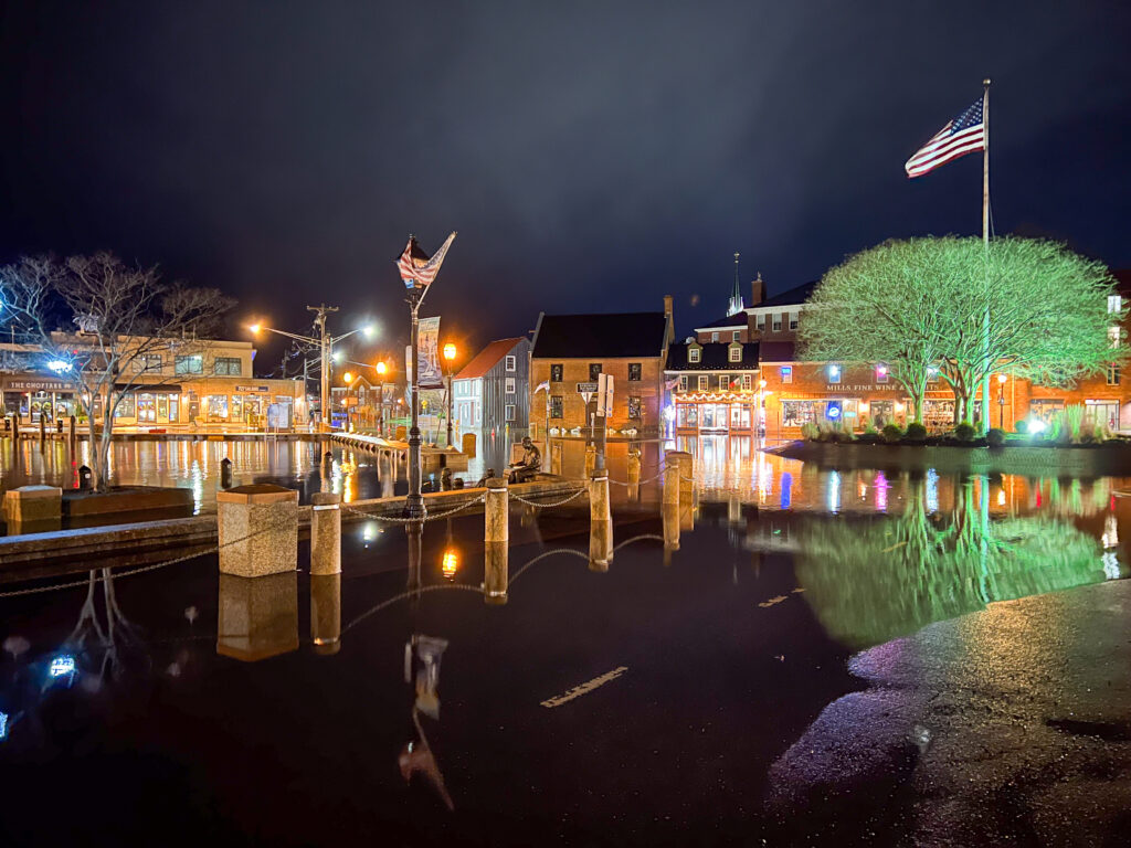 a body of water with buildings along it and a flag on the side (MyCoast AI)