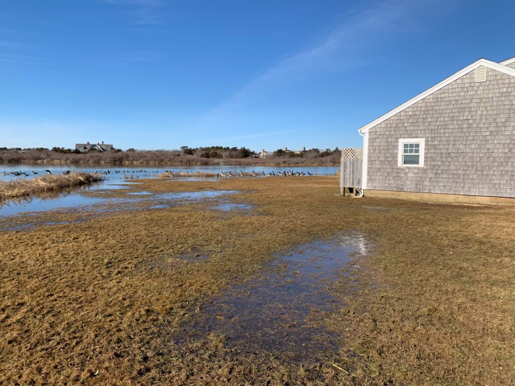 a building next to a body of water (MyCoast AI)
