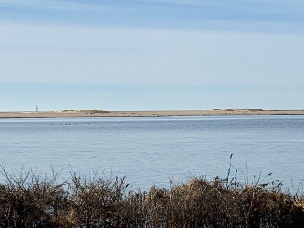 a body of water with land in the background (MyCoast AI)