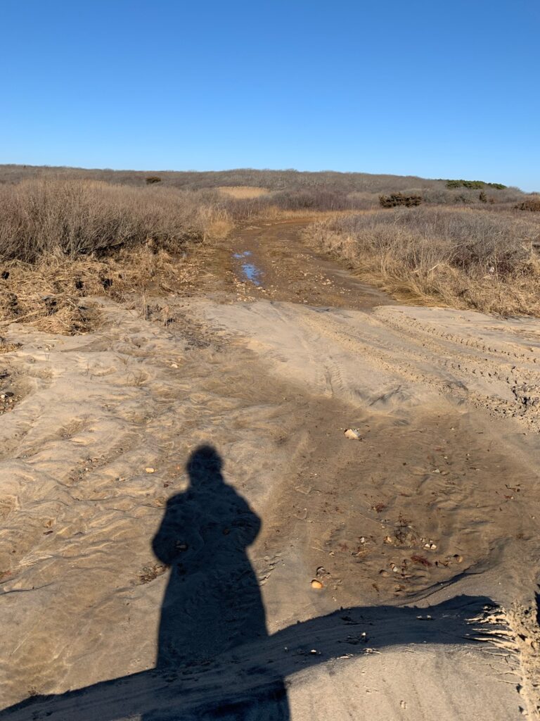 a person's shadow on a sandy beach (MyCoast AI)
