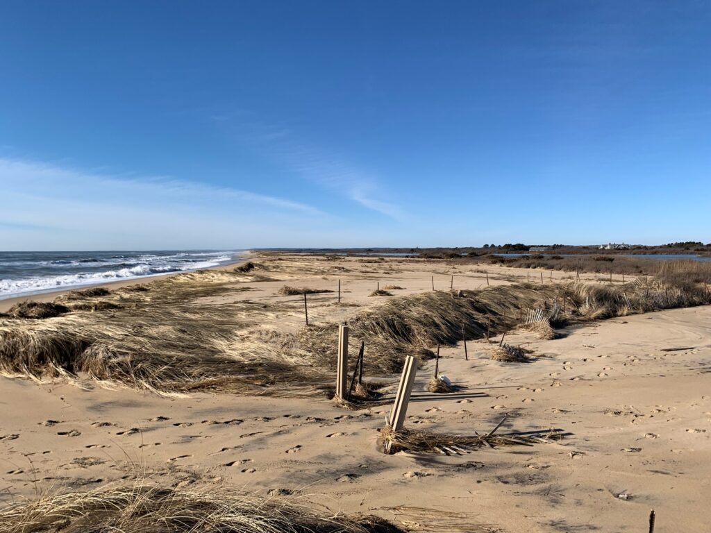 a hut on a beach (MyCoast AI)