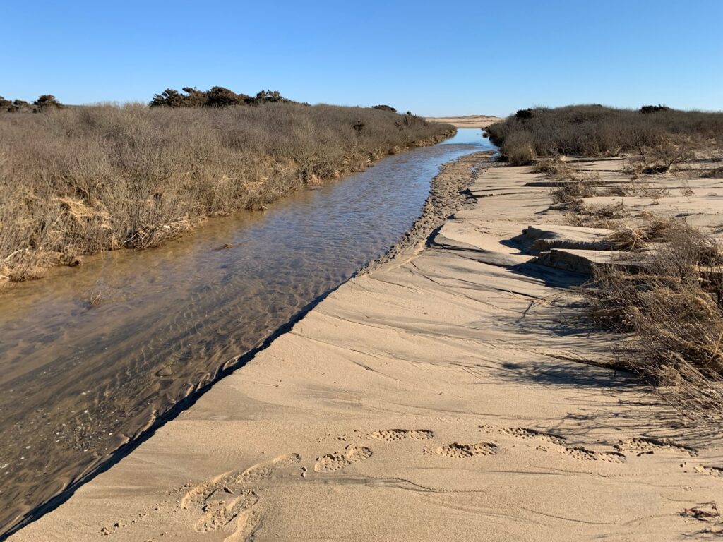 a river with sand and grass (MyCoast AI)
