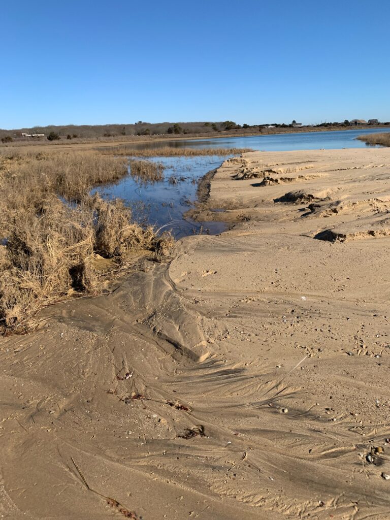 a sandy beach with water (MyCoast AI)