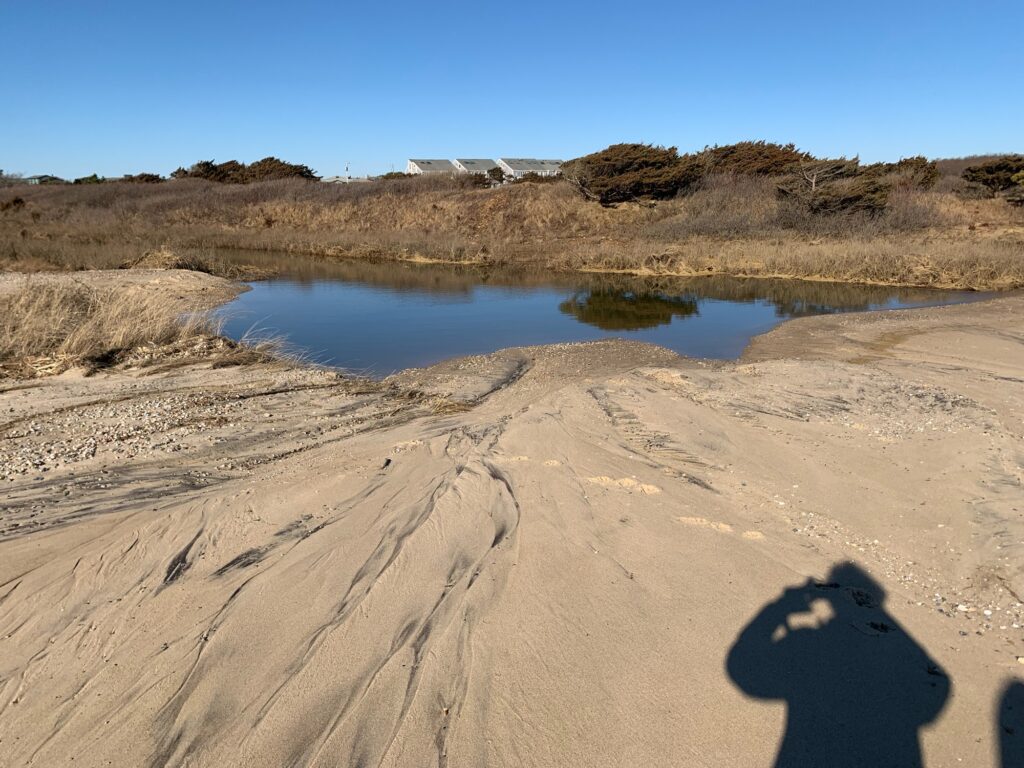 a person's shadow on a sandy beach (MyCoast AI)