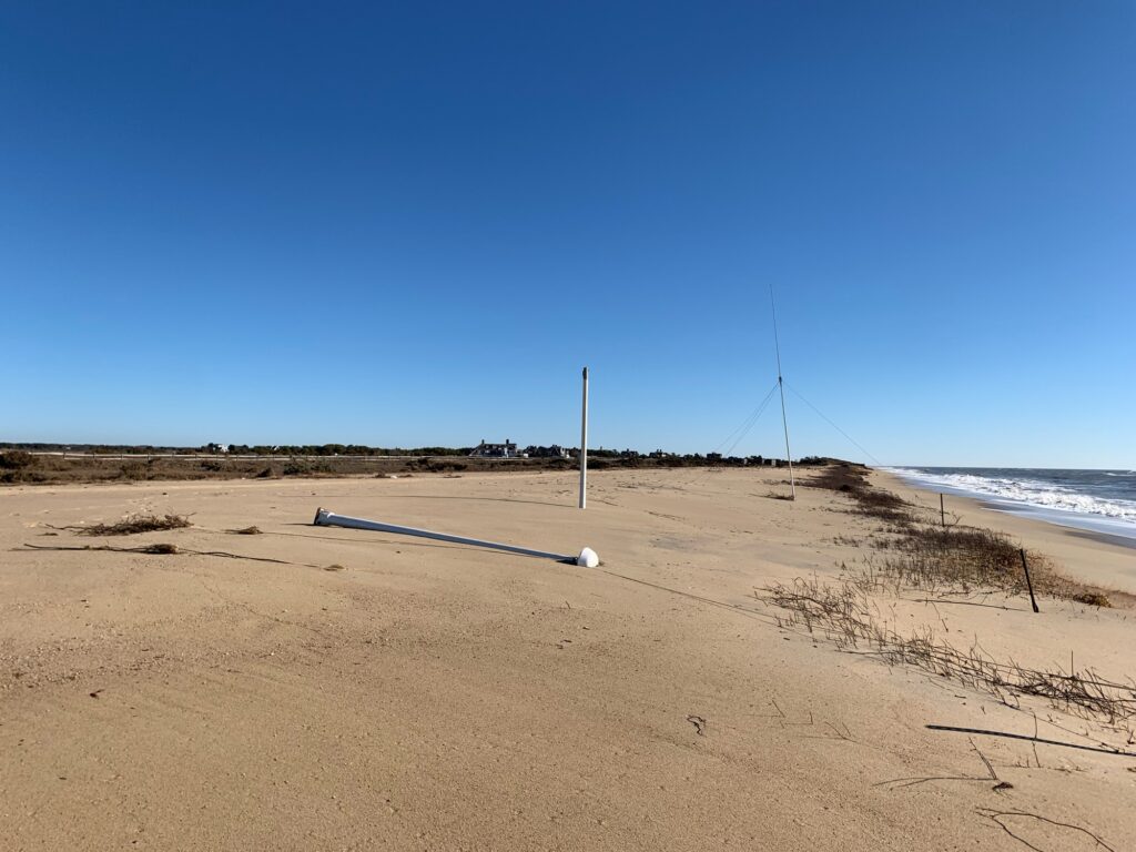 a sandy beach with a white bird (MyCoast AI)