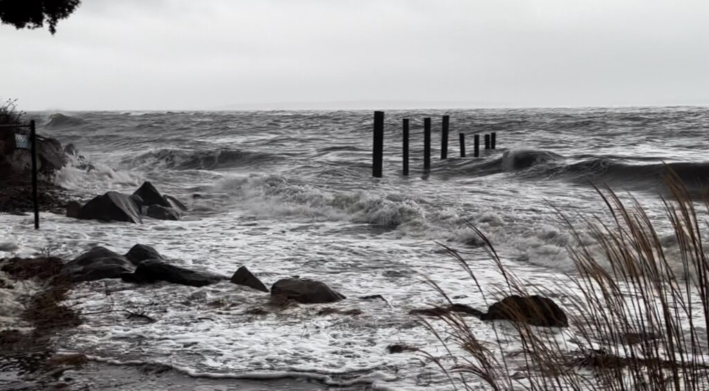 a beach with waves crashing (MyCoast AI)
