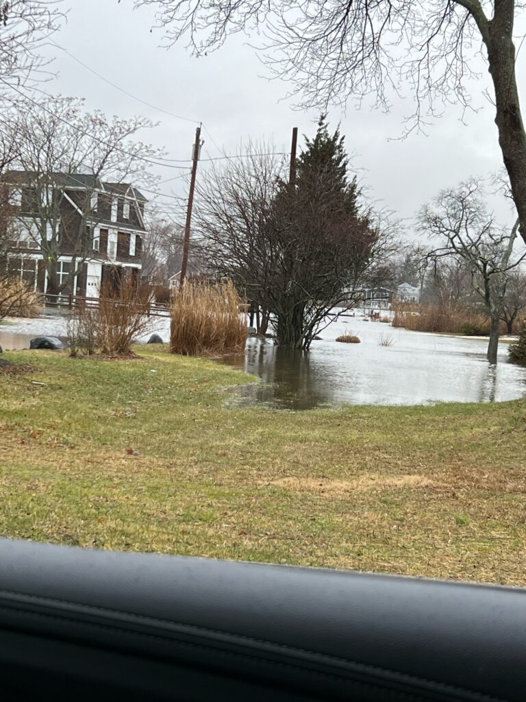 a flooded street with trees and houses (MyCoast AI)