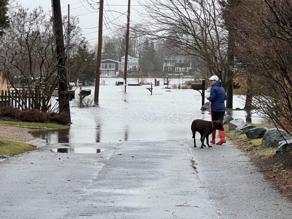 a person walking a dog in a flooded street (MyCoast AI)