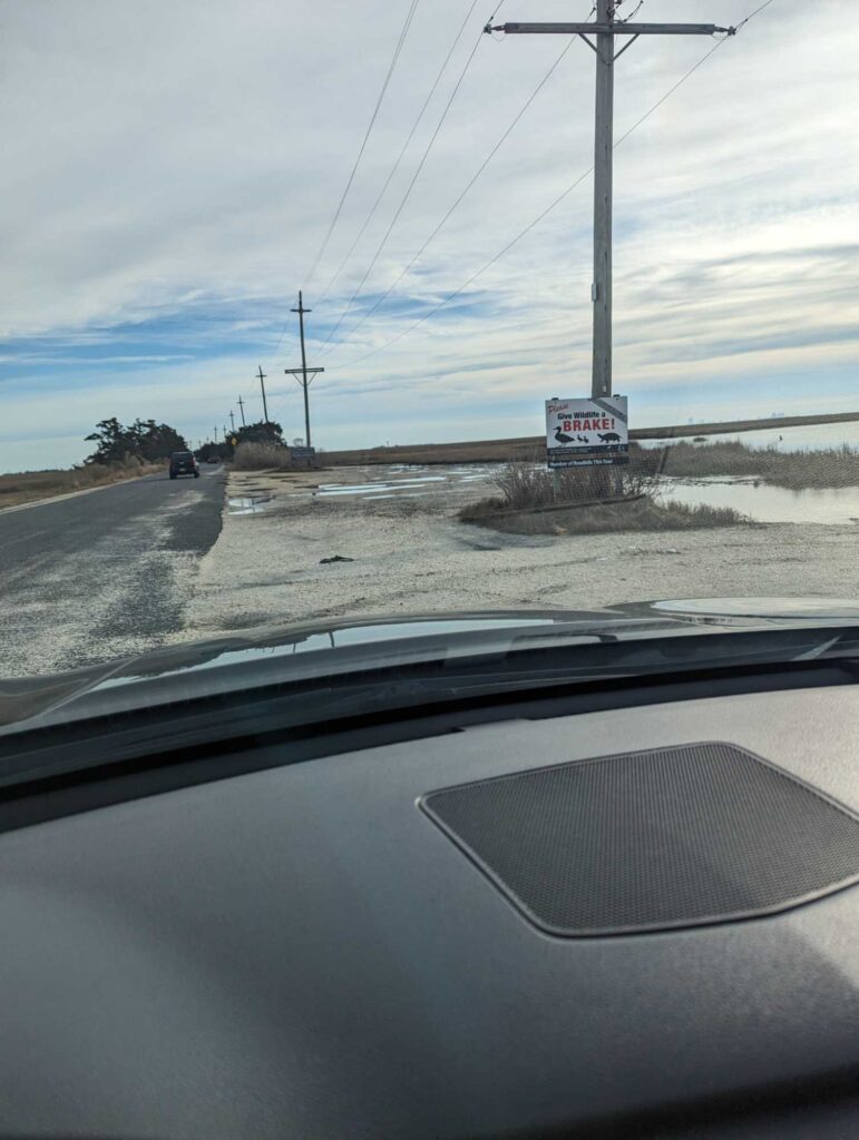 a road with snow on the side (MyCoast AI)