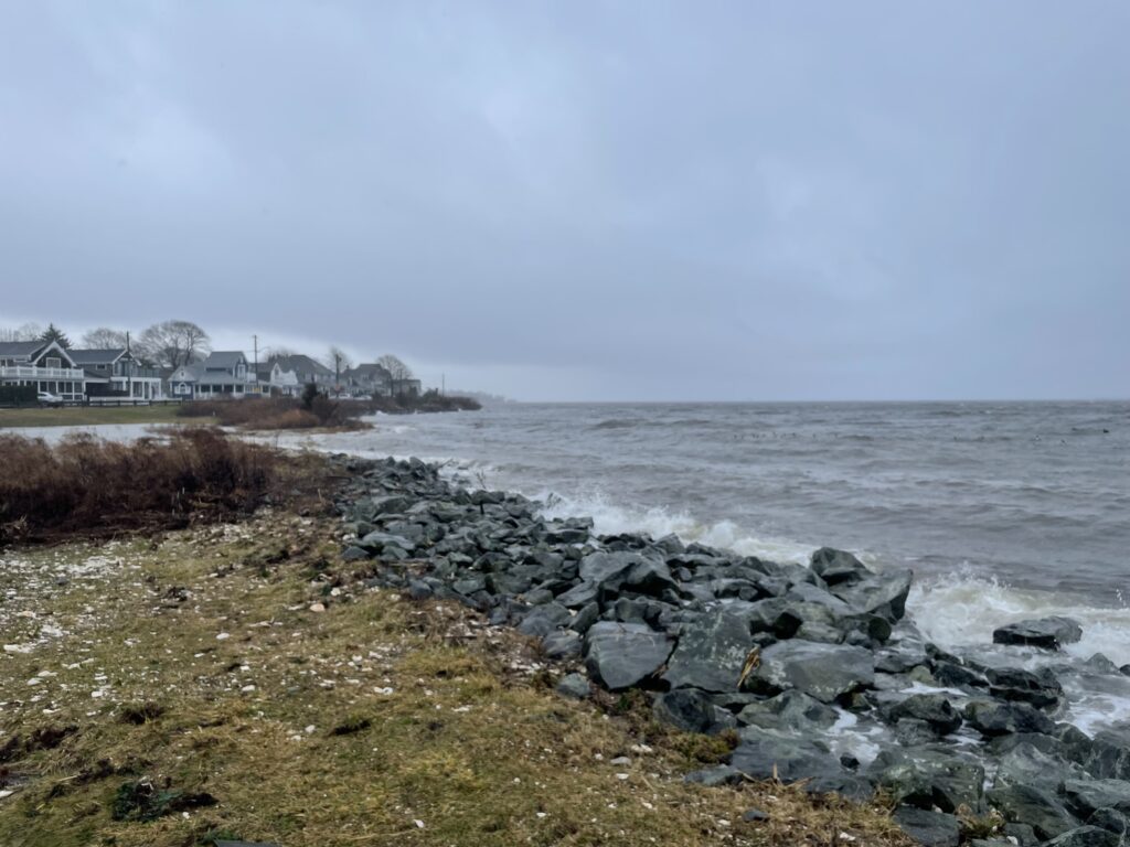 a rocky beach with houses in the background (MyCoast AI)