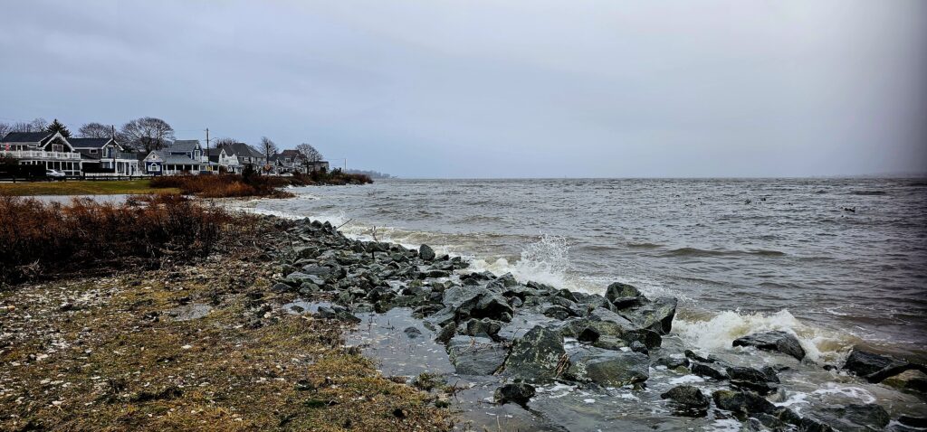 a rocky beach with houses in the background (MyCoast AI)