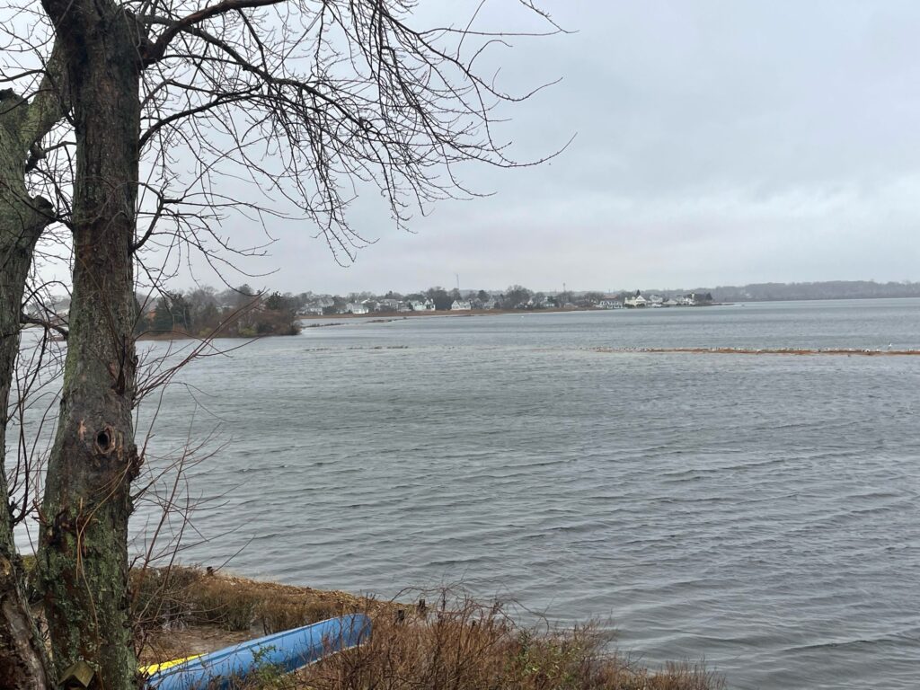 a body of water with trees and a beach in the background (MyCoast AI)