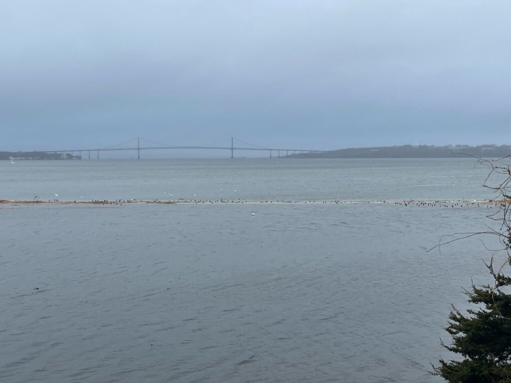 a body of water with a bridge in the distance (MyCoast AI)