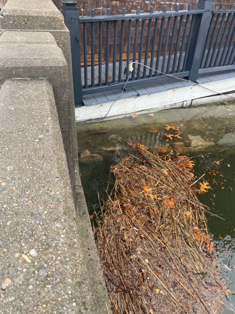 a pond with a fence and a sidewalk (MyCoast AI)