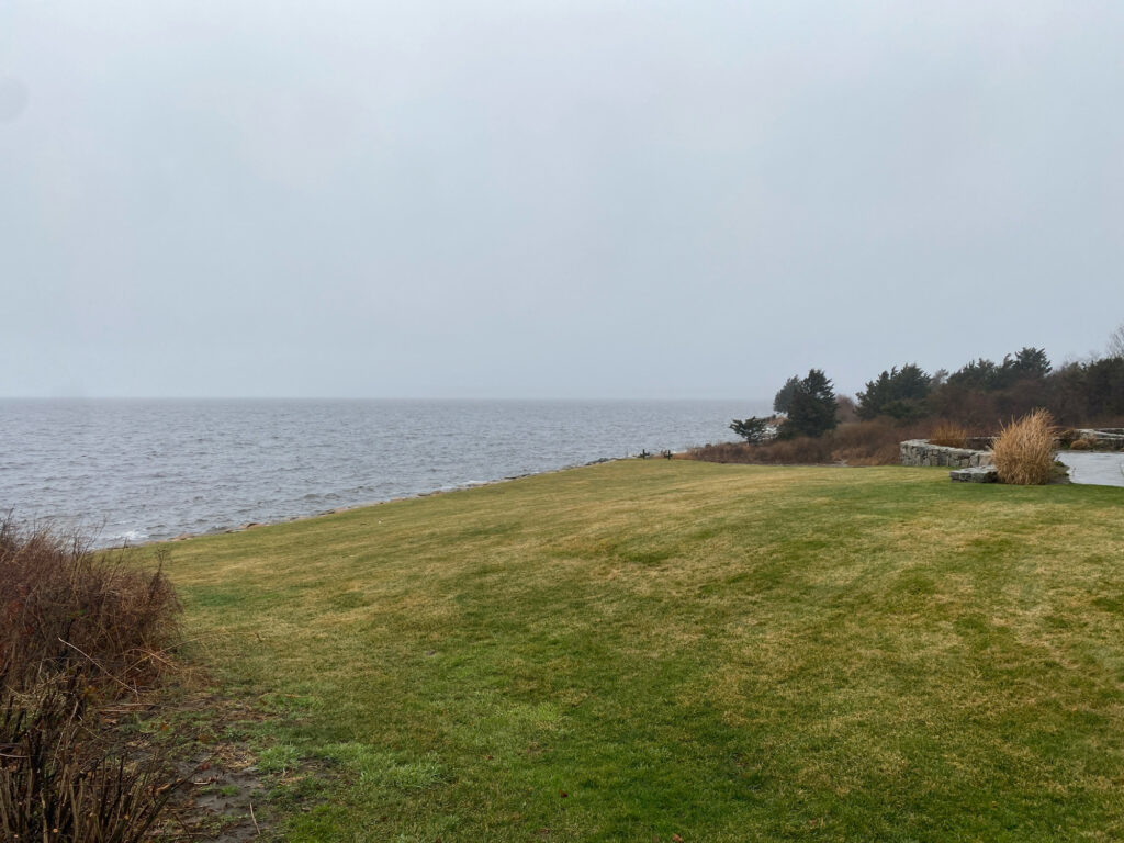 a grassy area next to a body of water (MyCoast AI)