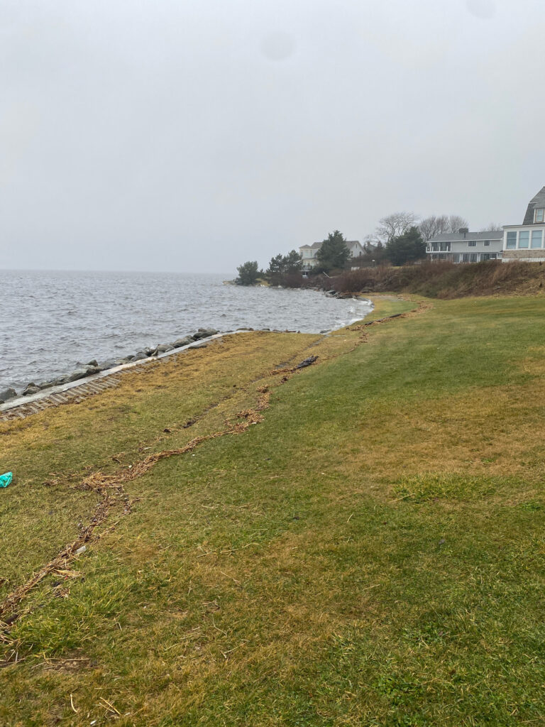 a grassy area next to a body of water (MyCoast AI)