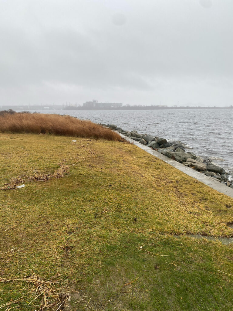 a grassy area next to a body of water (MyCoast AI)