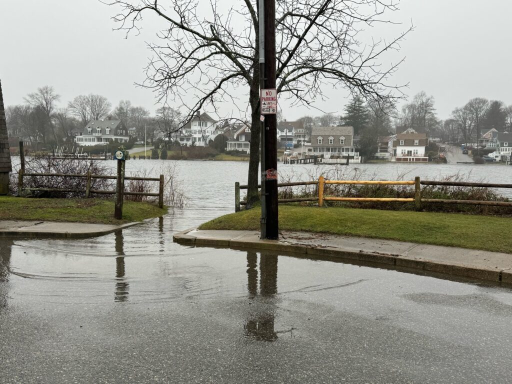 a flooded street with a tree (MyCoast AI)